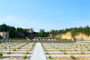 郑州市荥阳市北邙陵园墓区环境图