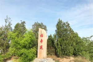 郑州市荥阳市北邙陵园福寿苑图
