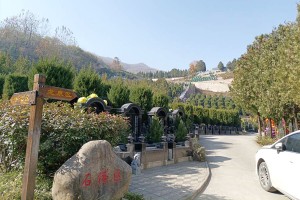 选墓小助手李先生对九龙山墓园的评价