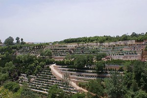 西安市蓝田县凤凰岭公墓墓区环境图