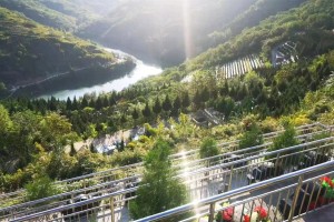 西安市灞桥区高桥墓园墓区环境图