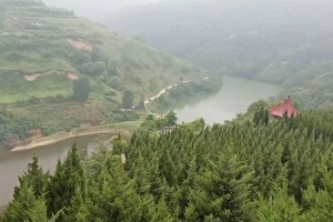 西安市灞桥区高桥墓园园区江景图