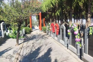 选墓小助手贾女士对高桥墓园的评价