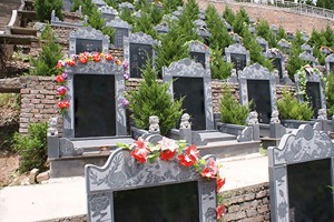 西安市蓝田县凤凰岭公墓墓区环境图