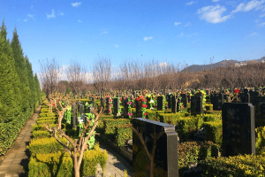 西安市临潼区骊山骨灰墓园墓区环境图