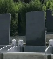 西安市长安区凤栖山墓园南区传统立碑墓型1号