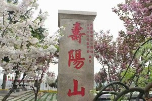 选墓小助手崔先生对霸陵墓园的评价