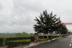西安市长安区枣园山生态人文纪念园园区环境图