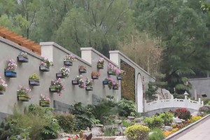 选墓小助手马先生对福寿园公墓的评价