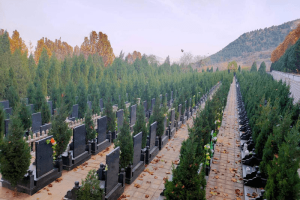 选墓小助手高先生对九顶山陵园的评价