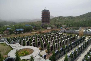 济南市长清区慈航园公墓墓区环境图