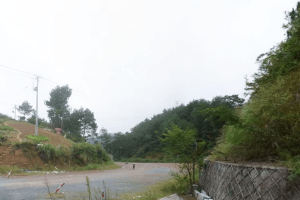 杭州市淳安县湖山公墓园区环境图