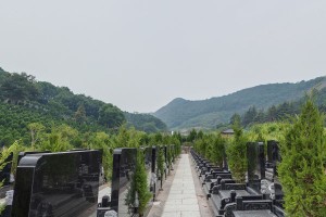 杭州市临平区印花坞公墓墓区环境图