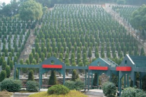 杭州市临平区临平公墓墓区环境图