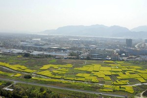 杭州市西湖区钱江陵园高空俯拍图