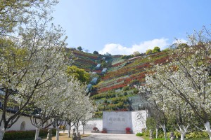 选墓小助手崔先生对钱江陵园的评价