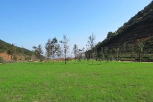 杭州市临平区杭州第三公墓园区环境图
