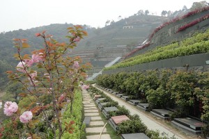选墓小助手崔先生对钱江陵园的评价
