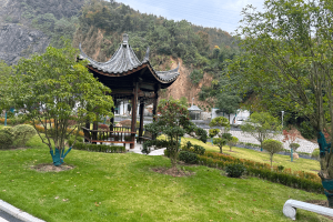 选墓小助手徐先生对萧山泰和陵园的评价