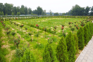 杭州市桐庐县排门山公墓园区环境图