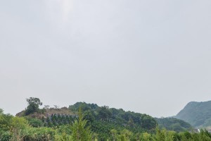 杭州市临平区印花坞公墓园区环境图