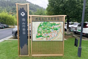 选墓小助手高先生对径山竹茶园的评价