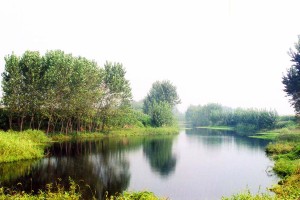 高碑店市高静园园区湖景图