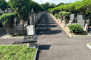 上海市青浦区九天陵园墓区环境图