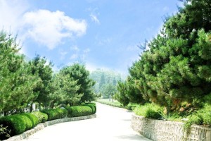保定市易县世界华侨陵园园区环境图
