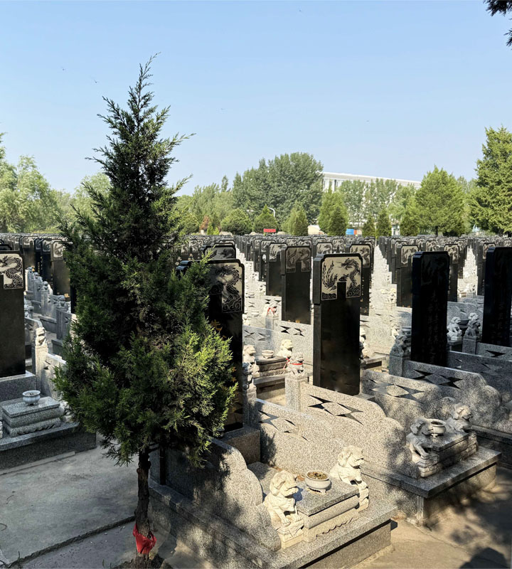 天津市津南区怡静园传统立碑墓型3号