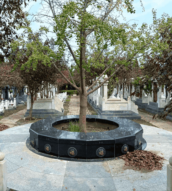 天津市北辰区憩园公墓生态葬树葬墓型3号