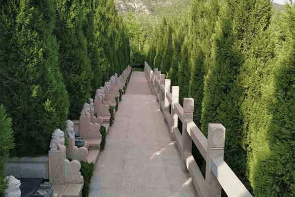 济南市历城区福舜园公墓墓区图